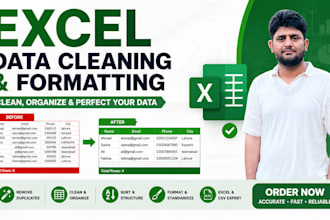clean excel spreadsheet , excel data cleaning , data cleanup