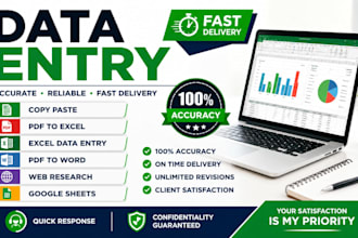 do accurate data entry, copy paste, PDF to excel and web research