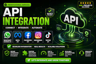 integrate whatsapp business API, meta API, facebook, instagram and tiktok API