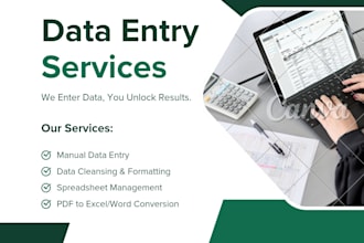 professional excel data entry and spreadsheet management