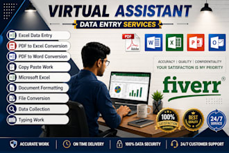 provide accurate data entry and excel services