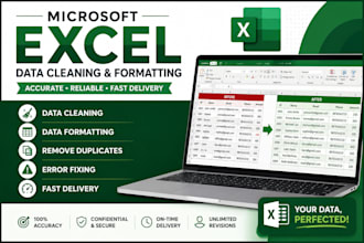 clean, format, organize and fix your microsoft excel data