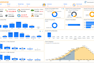 create a professional power bi dashboard for your business