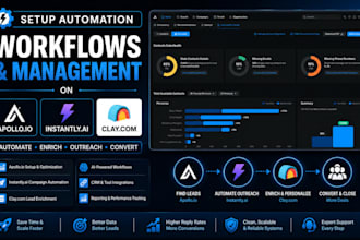 setup automation workflows and management on apollo io instantly ai clay com