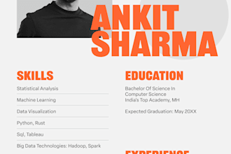 design professional resume for you