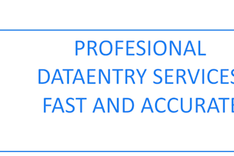 do expert data entry work