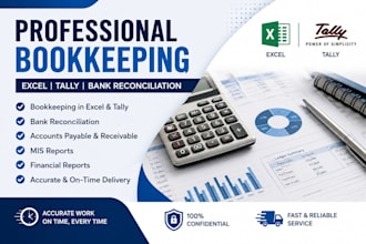 do professional bookkeeping in excel and tally with bank