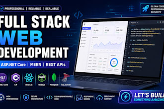 develop a professional net core web application or rest API