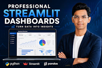 build an interactive streamlit business dashboard