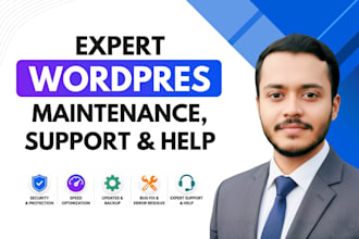 provide expert wordpress maintenance, support and help