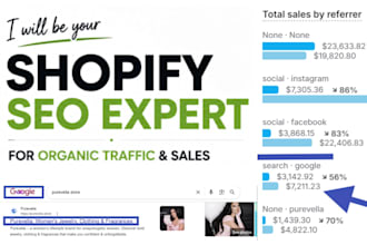 be your shopify SEO expert for organic traffic and sales
