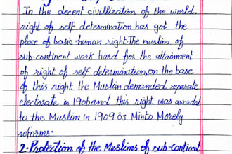 do neat handwritten notes and typing work from PDF or images