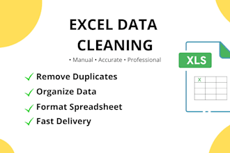clean, and format your excel spreadsheet professionally