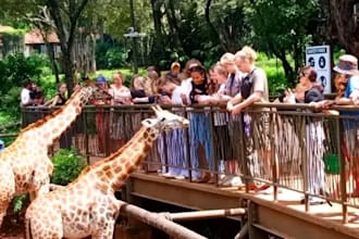 create custom safari itinerary and travel plan