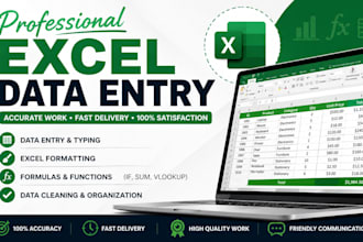 do professional microsoft excel data entry and formatting