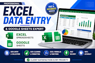 do microsoft excel, google sheets, data cleaning and formatting