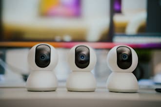 write professional IT product descriptions