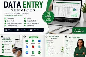 do accurate data entry, excel, copy paste and web research