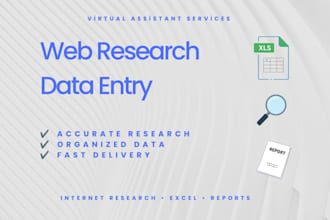 do web research, market research and data entry