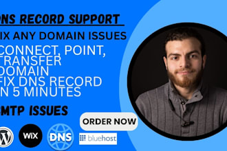 point, connect, transfer, and fix dns, domain, and email issues migrate website