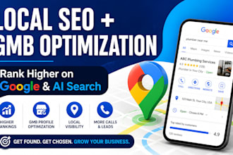 do complete local SEO, GEO and gmb optimization for ai search visibility
