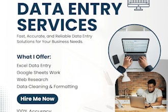 do professionl data entry