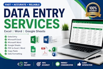 do accurate data entry, microsoft excel, word and google sheets tasks