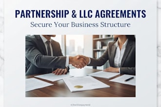 draft professional business partnership and company agreements