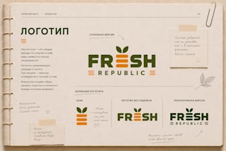 design a professional brand book or style guide