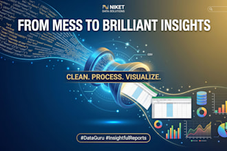 do fast excel data entry, data cleaning, and database formatting
