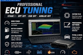 provide high quality custom ecu remapping and software solutions