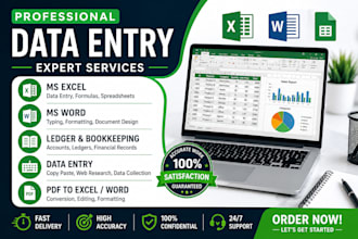 do professional data entry,excel,word,ledger and spreadsheet tasks