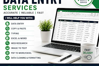 do accurate data entry, copy paste, typing, and online research
