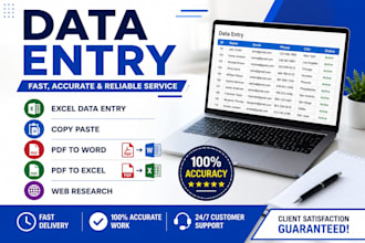 do accurate data entry ,copy paste,excel,PDF to word