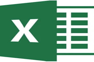 do accurate microsoft excel data entry and formatting