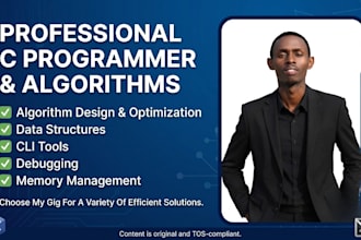 write efficient c programming scripts and algorithms