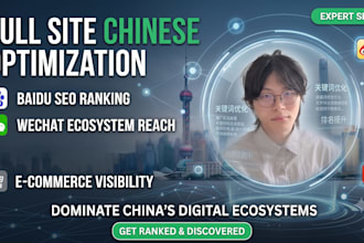 full site chinese seo,baidu,wechat,douyin,e commerce,social platforms