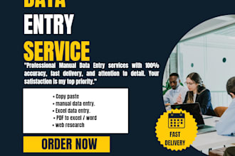 do fast and accurate data entry, typing and excel work
