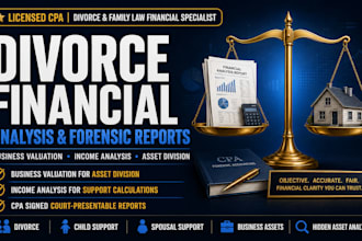 prep CPA financial analysis and forensic reports for divorce and family law doc