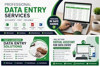 do accurate data etry, copy paste, typing and web research