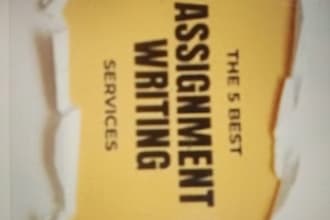 do assignment writing , essay writing and typing