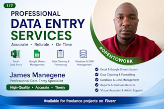 provide high quality, accurate data entry services