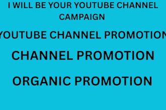 be your youtube campaign