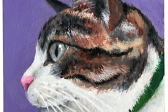 hand paint your pet