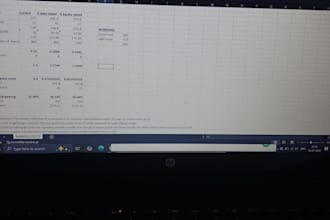 do professional bookkeeping and accounting in excel