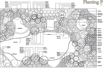 draw detailed landscape site plan cad planting plan hoa permit layouts