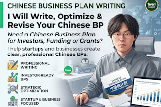 write optimize and revise your chinese business plan for funding