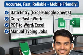 do professional data entry ,paste work in 24 hours