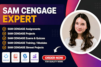 do your microsoft office, sam cengage project, assignments, modules