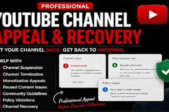 write a professional youtube appeal for channel recovery